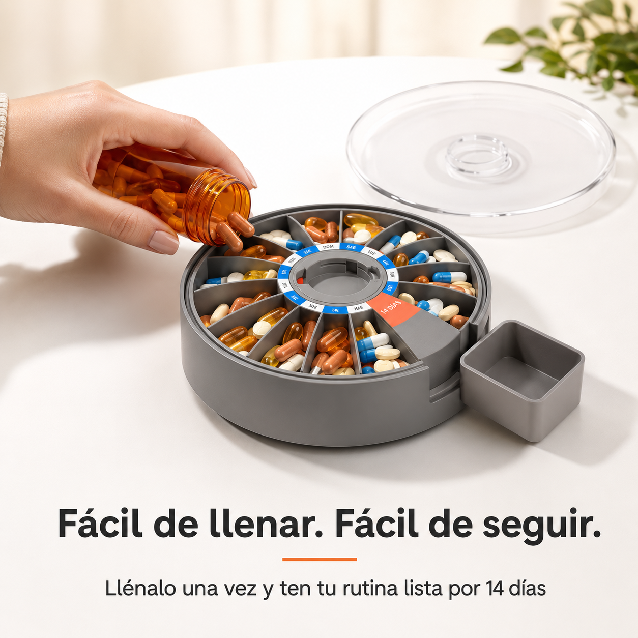 Organiza 14 días de tu rutina en un solo lugar